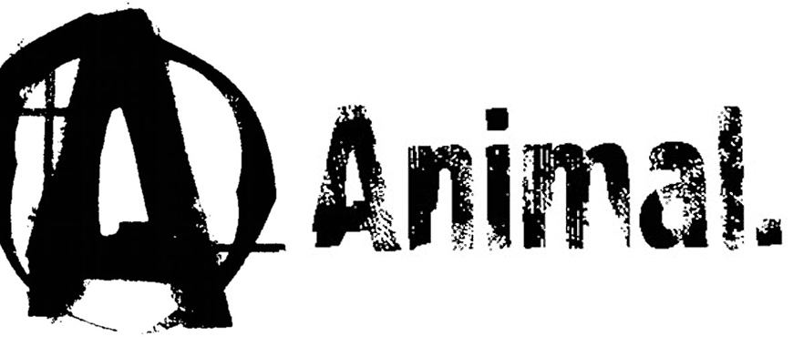 Image result for universal animal logo